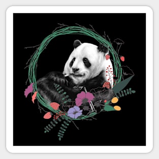 Panda Sticker